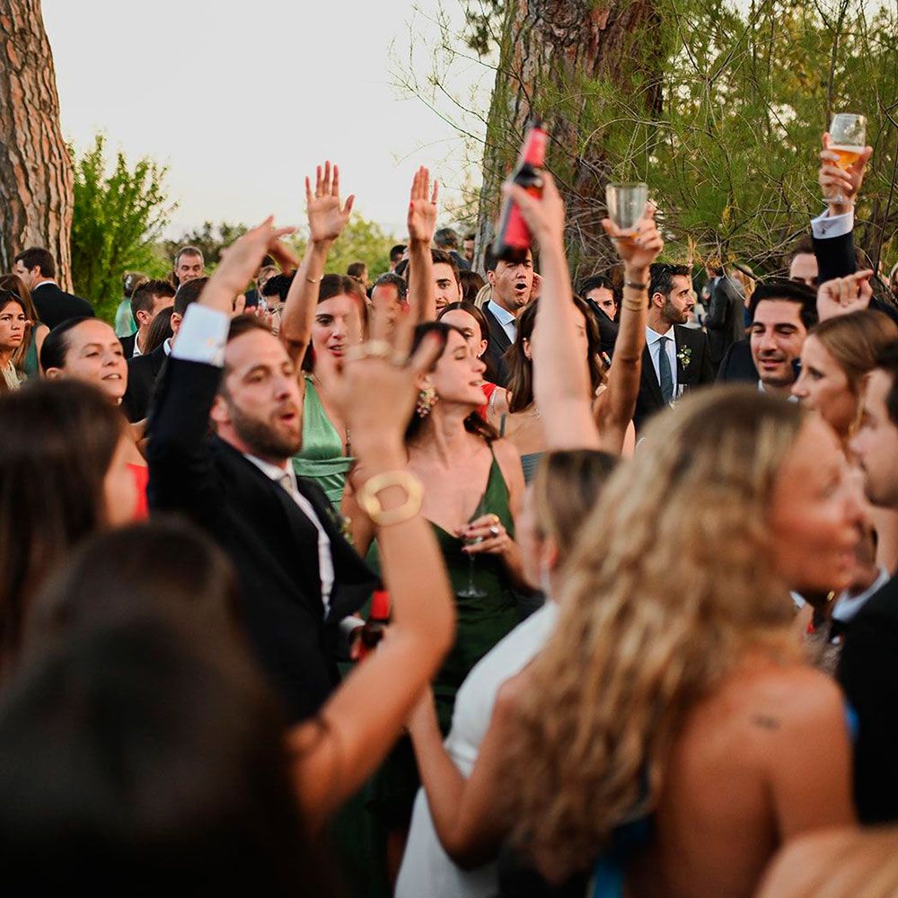 Invitados con los brazos en alto celebrando en una boda al aire libre